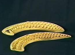 Chalcolithic Findings - Ivory