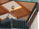 Wire netting against pigeons