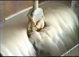 Extracting Salt in Dead Sea Works