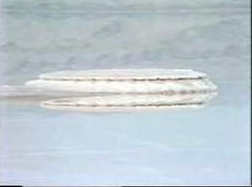 Salt Mushroom in Dead Sea